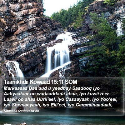 Taariikhdii Kowaad 15:11 SOM Bible Verse Image