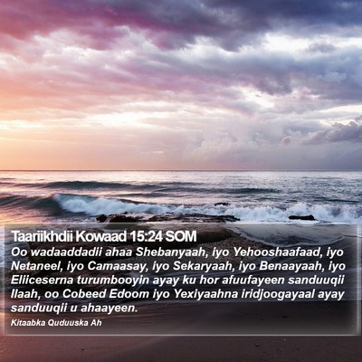 Taariikhdii Kowaad 15:24 SOM Bible Verse Image