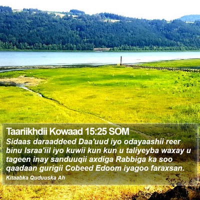 Taariikhdii Kowaad 15:25 SOM Bible Verse Image