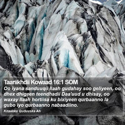 Taariikhdii Kowaad 16:1 SOM Bible Verse Image