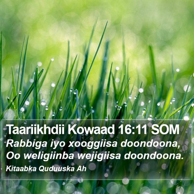 Taariikhdii Kowaad 16:11 SOM Bible Verse Image