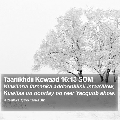 Taariikhdii Kowaad 16:13 SOM Bible Verse Image