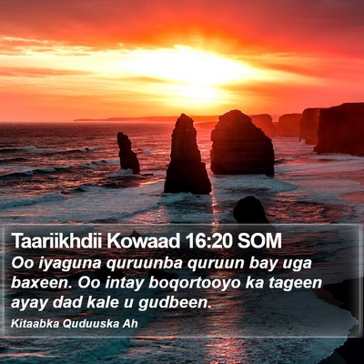 Taariikhdii Kowaad 16:20 SOM Bible Verse Image