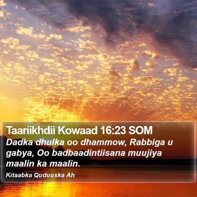 Taariikhdii Kowaad 16:23 SOM Bible Verse Image