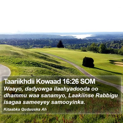 Taariikhdii Kowaad 16:26 SOM Bible Verse Image