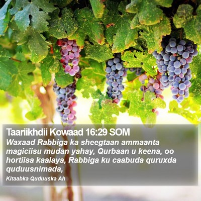 Taariikhdii Kowaad 16:29 SOM Bible Verse Image