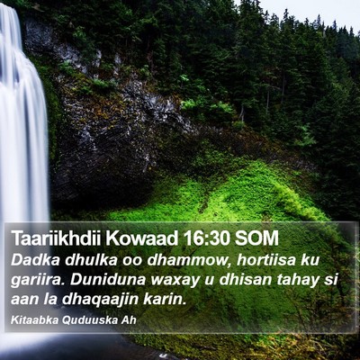 Taariikhdii Kowaad 16:30 SOM Bible Verse Image