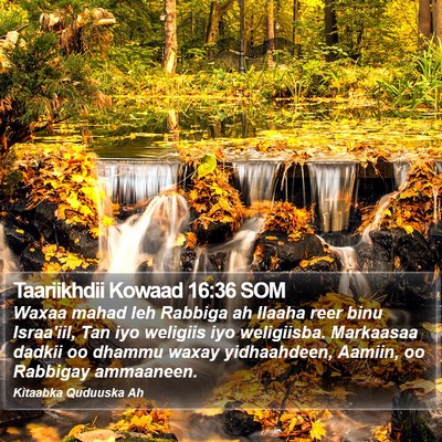 Taariikhdii Kowaad 16:36 SOM Bible Verse Image