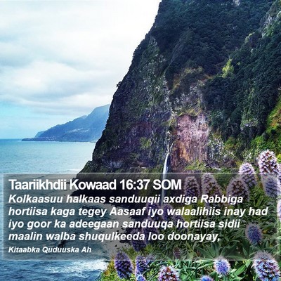 Taariikhdii Kowaad 16:37 SOM Bible Verse Image