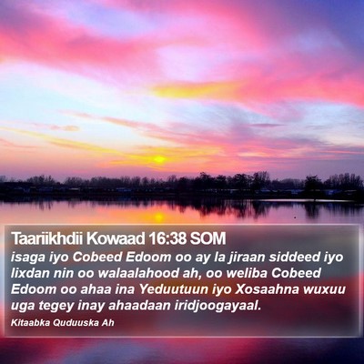 Taariikhdii Kowaad 16:38 SOM Bible Verse Image