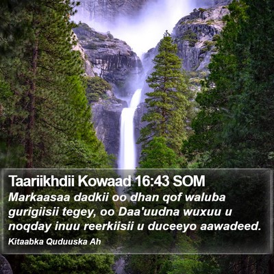 Taariikhdii Kowaad 16:43 SOM Bible Verse Image
