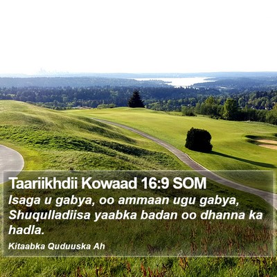 Taariikhdii Kowaad 16:9 SOM Bible Verse Image