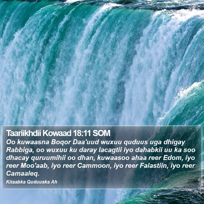 Taariikhdii Kowaad 18:11 SOM Bible Verse Image