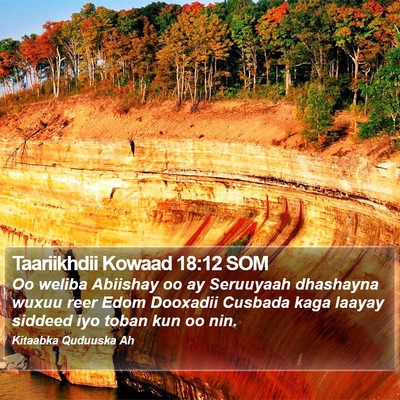 Taariikhdii Kowaad 18:12 SOM Bible Verse Image