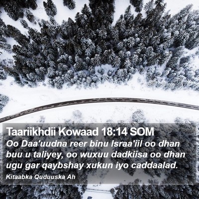 Taariikhdii Kowaad 18:14 SOM Bible Verse Image