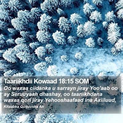Taariikhdii Kowaad 18:15 SOM Bible Verse Image