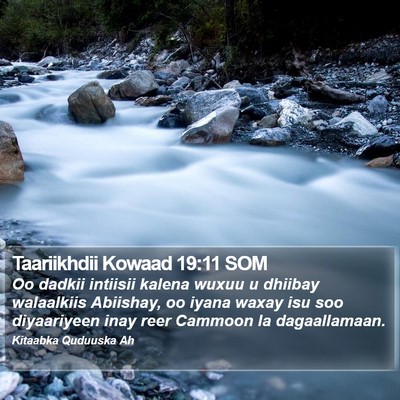 Taariikhdii Kowaad 19:11 SOM Bible Verse Image