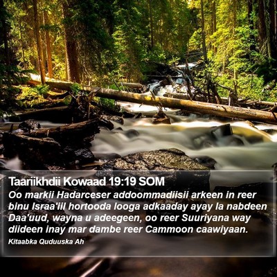 Taariikhdii Kowaad 19:19 SOM Bible Verse Image