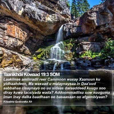 Taariikhdii Kowaad 19:3 SOM Bible Verse Image