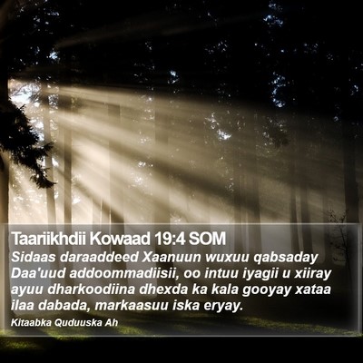 Taariikhdii Kowaad 19:4 SOM Bible Verse Image