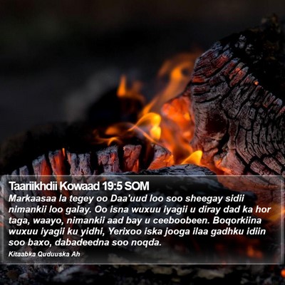Taariikhdii Kowaad 19:5 SOM Bible Verse Image