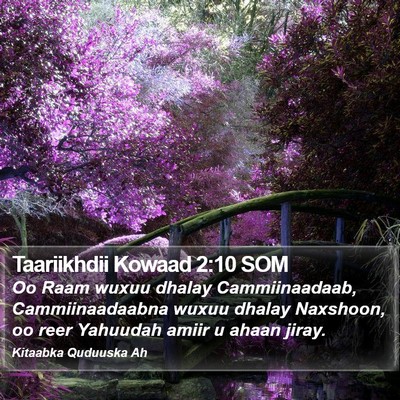 Taariikhdii Kowaad 2:10 SOM Bible Verse Image