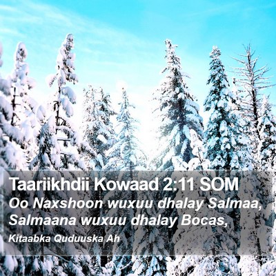Taariikhdii Kowaad 2:11 SOM Bible Verse Image