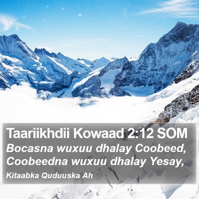 Taariikhdii Kowaad 2:12 SOM Bible Verse Image
