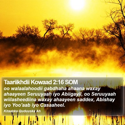 Taariikhdii Kowaad 2:16 SOM Bible Verse Image