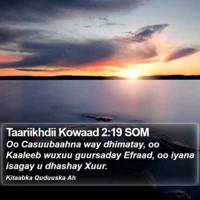 Taariikhdii Kowaad 2:19 SOM Bible Verse Image