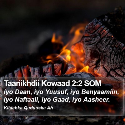 Taariikhdii Kowaad 2:2 SOM Bible Verse Image
