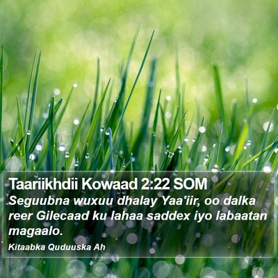Taariikhdii Kowaad 2:22 SOM Bible Verse Image