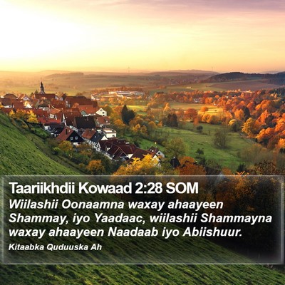 Taariikhdii Kowaad 2:28 SOM Bible Verse Image
