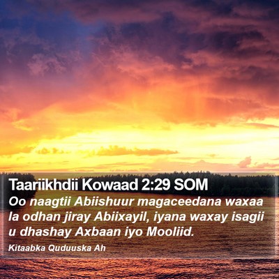 Taariikhdii Kowaad 2:29 SOM Bible Verse Image