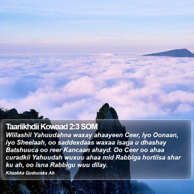 Taariikhdii Kowaad 2:3 SOM Bible Verse Image