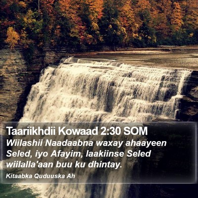 Taariikhdii Kowaad 2:30 SOM Bible Verse Image