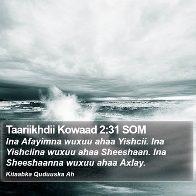 Taariikhdii Kowaad 2:31 SOM Bible Verse Image