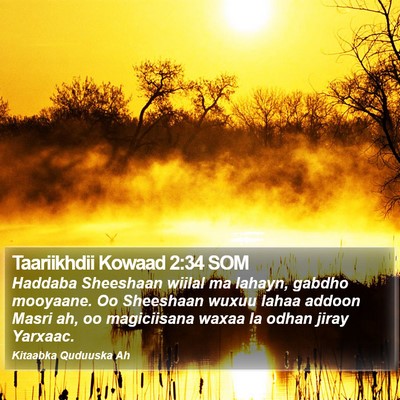 Taariikhdii Kowaad 2:34 SOM Bible Verse Image