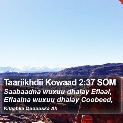Taariikhdii Kowaad 2:37 SOM Bible Verse Image