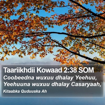 Taariikhdii Kowaad 2:38 SOM Bible Verse Image