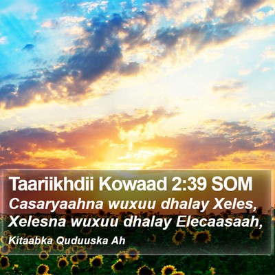 Taariikhdii Kowaad 2:39 SOM Bible Verse Image