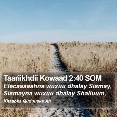 Taariikhdii Kowaad 2:40 SOM Bible Verse Image