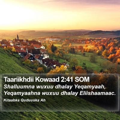 Taariikhdii Kowaad 2:41 SOM Bible Verse Image
