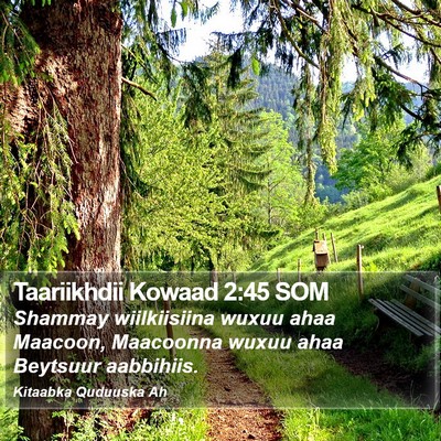 Taariikhdii Kowaad 2:45 SOM Bible Verse Image