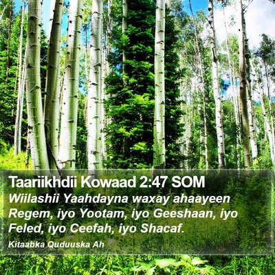Taariikhdii Kowaad 2:47 SOM Bible Verse Image