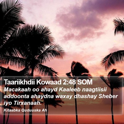 Taariikhdii Kowaad 2:48 SOM Bible Verse Image