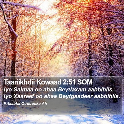 Taariikhdii Kowaad 2:51 SOM Bible Verse Image