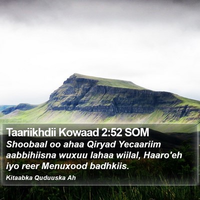 Taariikhdii Kowaad 2:52 SOM Bible Verse Image