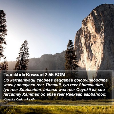 Taariikhdii Kowaad 2:55 SOM Bible Verse Image