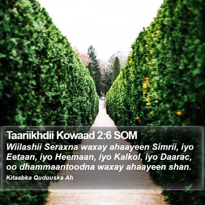 Taariikhdii Kowaad 2:6 SOM Bible Verse Image
